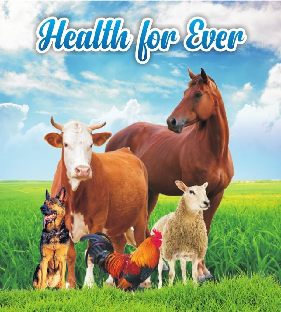 Health for Ever - Yindrugs