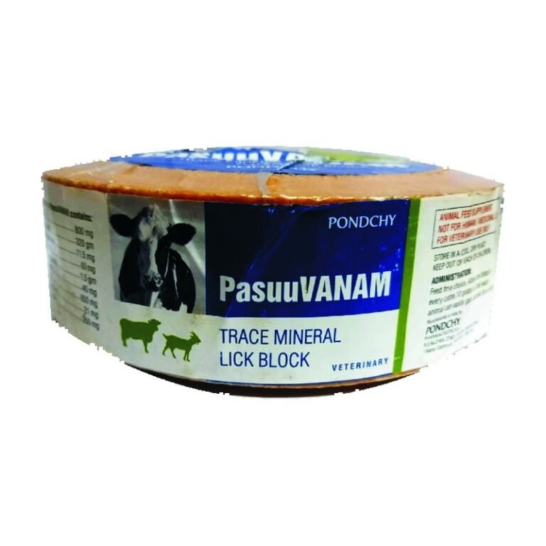 Pasuuvanam Lick Block