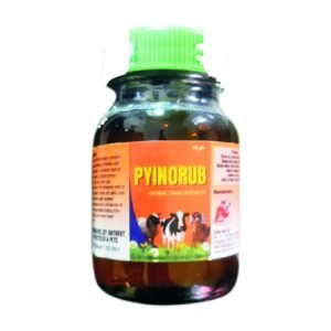 Pyinorub