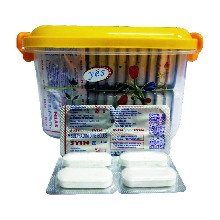 Syin Bolus