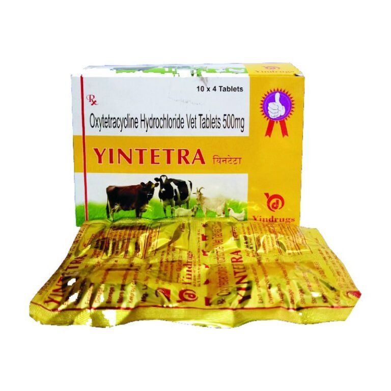 Yintetra Bolus